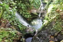 Imagen Cascada en Loreto